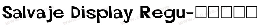 Salvaje Display Regu字体转换